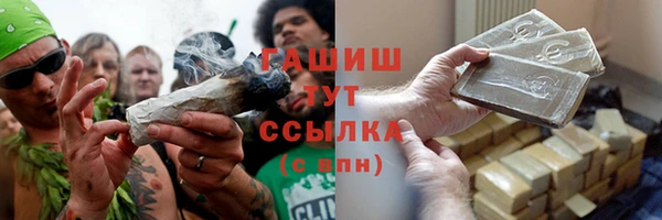прущие грибы Баксан