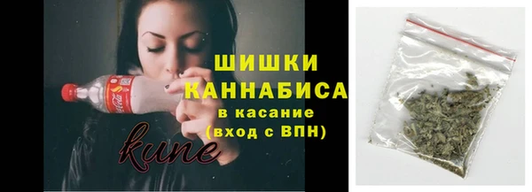 прущие грибы Баксан