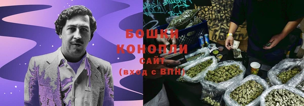 apvp Снежногорск