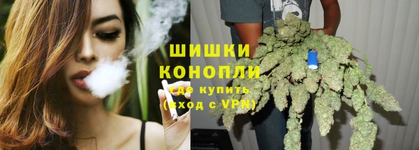 ешки Арсеньев