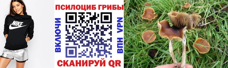 Псилоцибиновые грибы ЛСД Ирбит