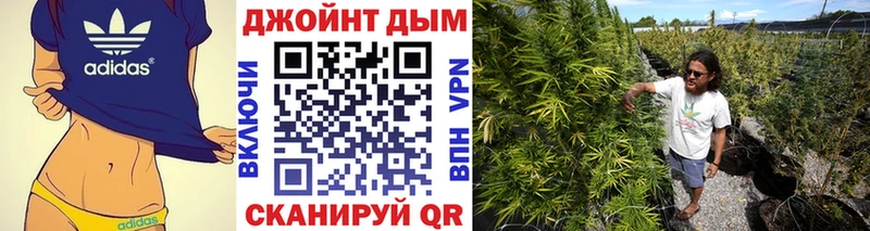 Бошки Шишки SATIVA & INDICA  купить   omg вход  Ирбит 